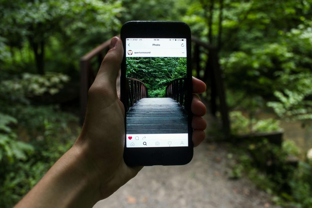 Ruka koja drži mobitel i slika zeleni pejzaž u šumi